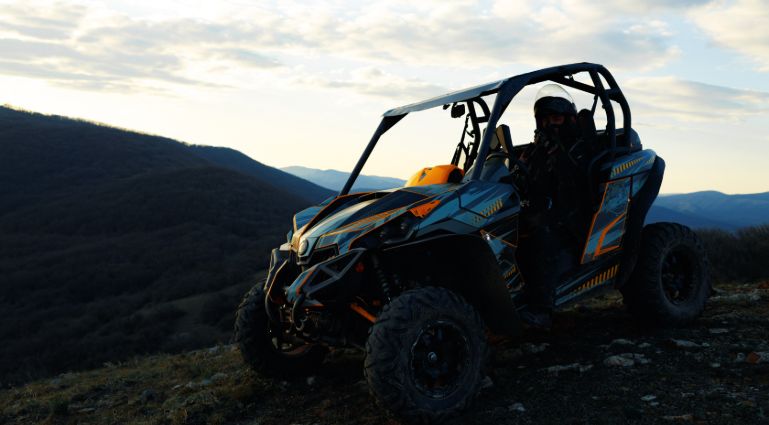 Buggy Rides